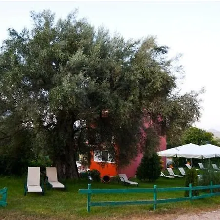 Odysseia Daire Nikiana